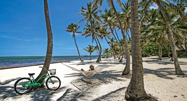 The Moorings Islamorada