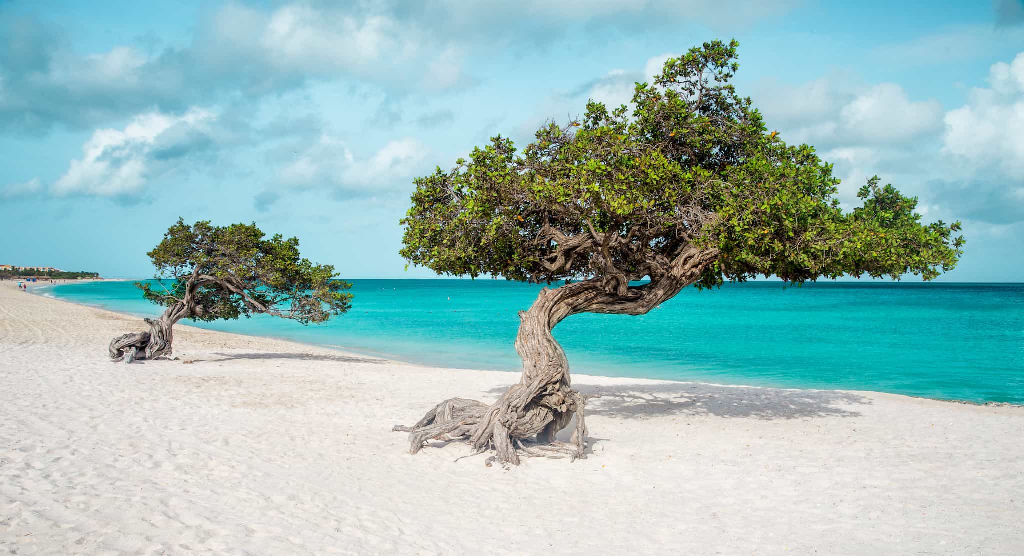Aruba Eagle Beach