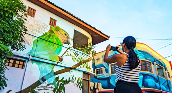 Aruba Art