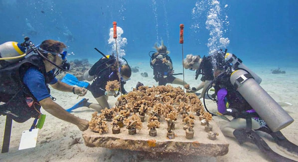 Cozumel