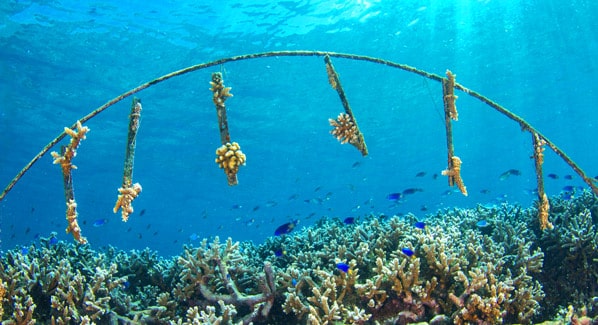 Seychelles