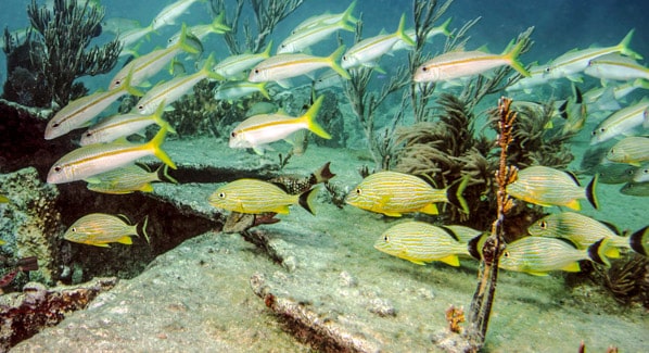 Key Largo