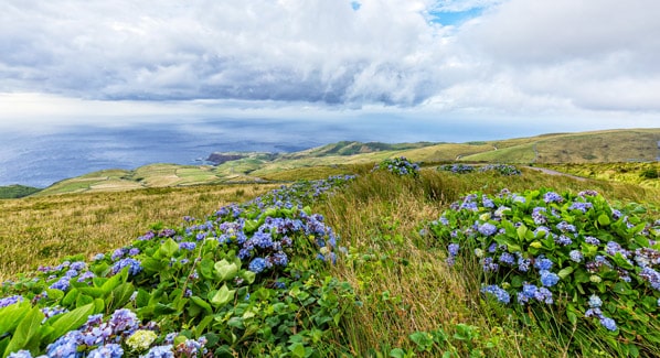 Azores