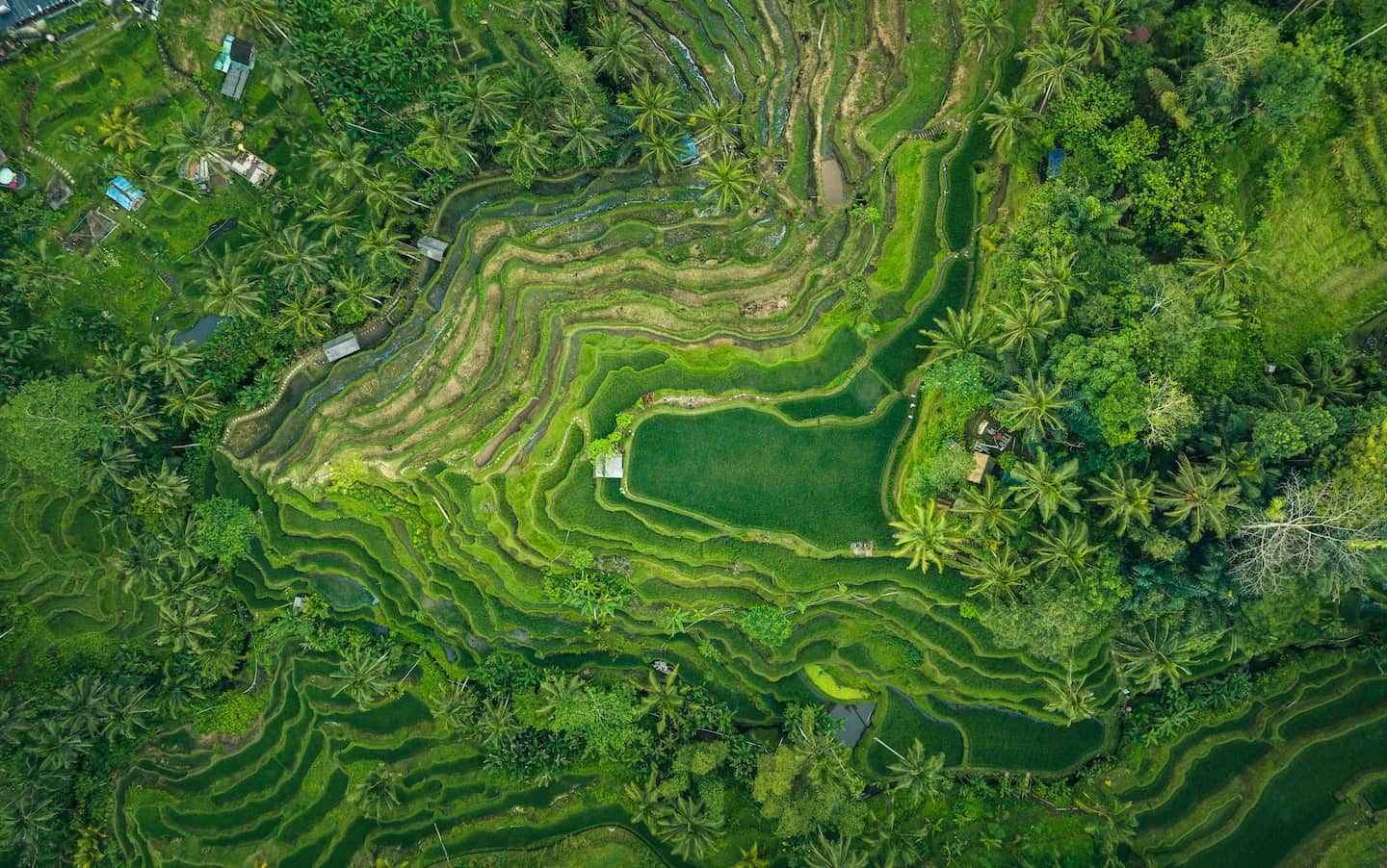 Indonesia
