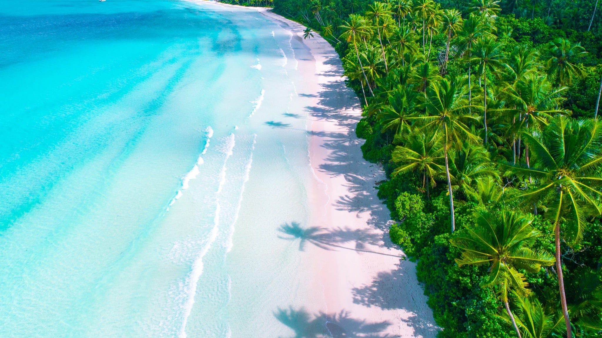 Beaches