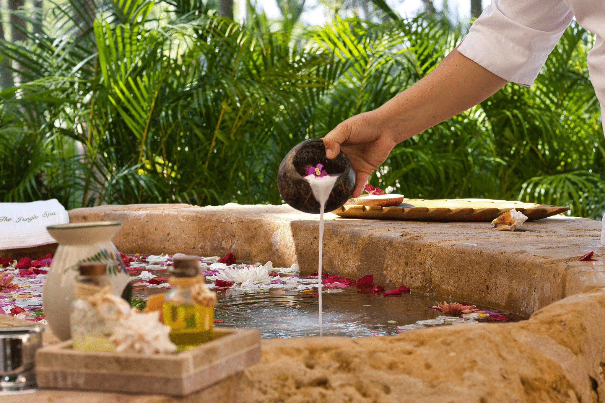 Spas + Wellness