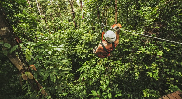Zipline