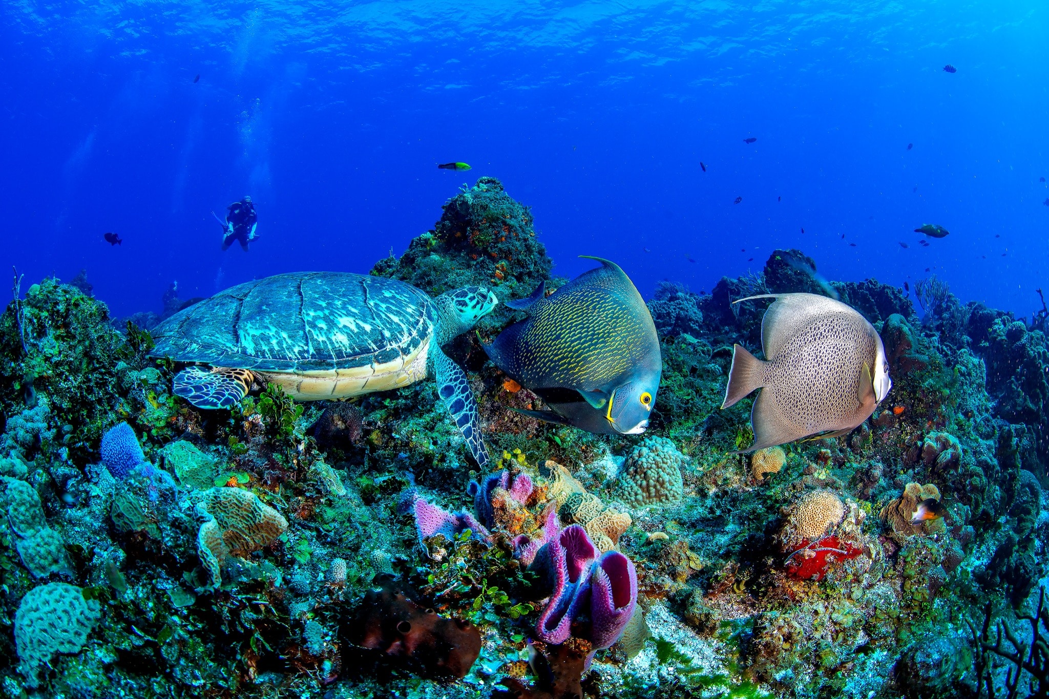 Cozumel