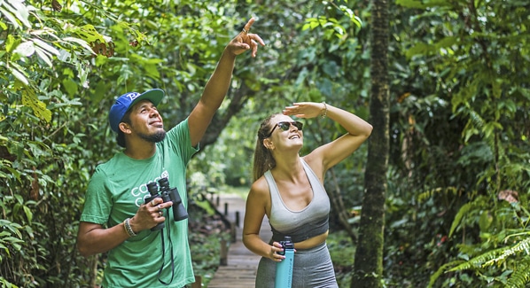 Bird Watching Panama
