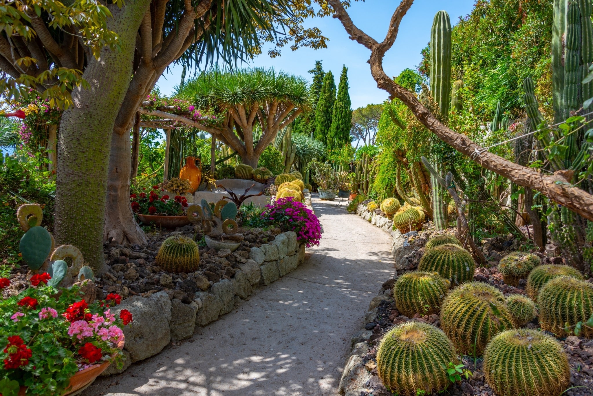 Ischia