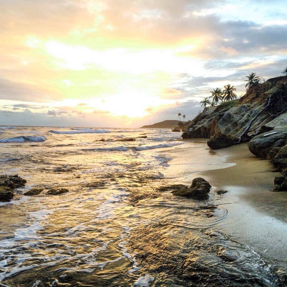 Vieques