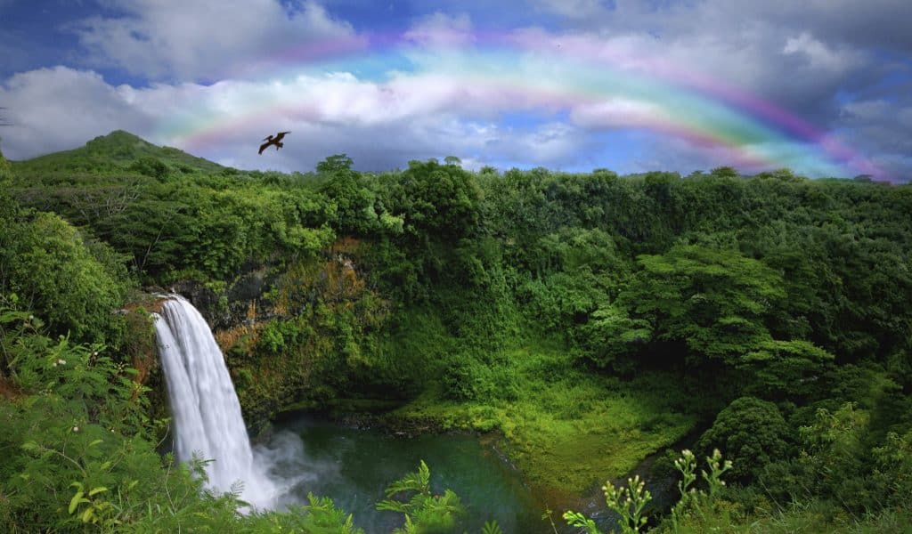 Kauai Waterfall
