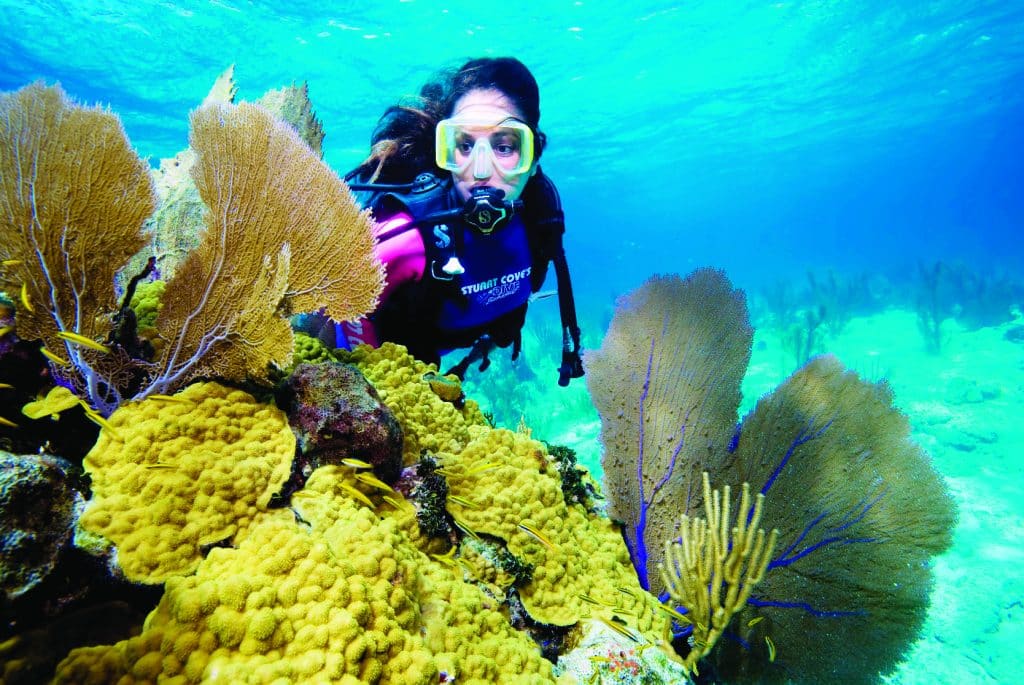 New Providence Bahamas Snorkel