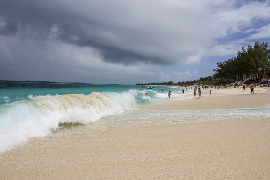 Paradise Island