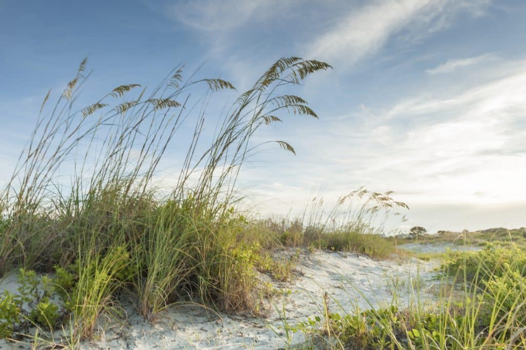 Amelia Island