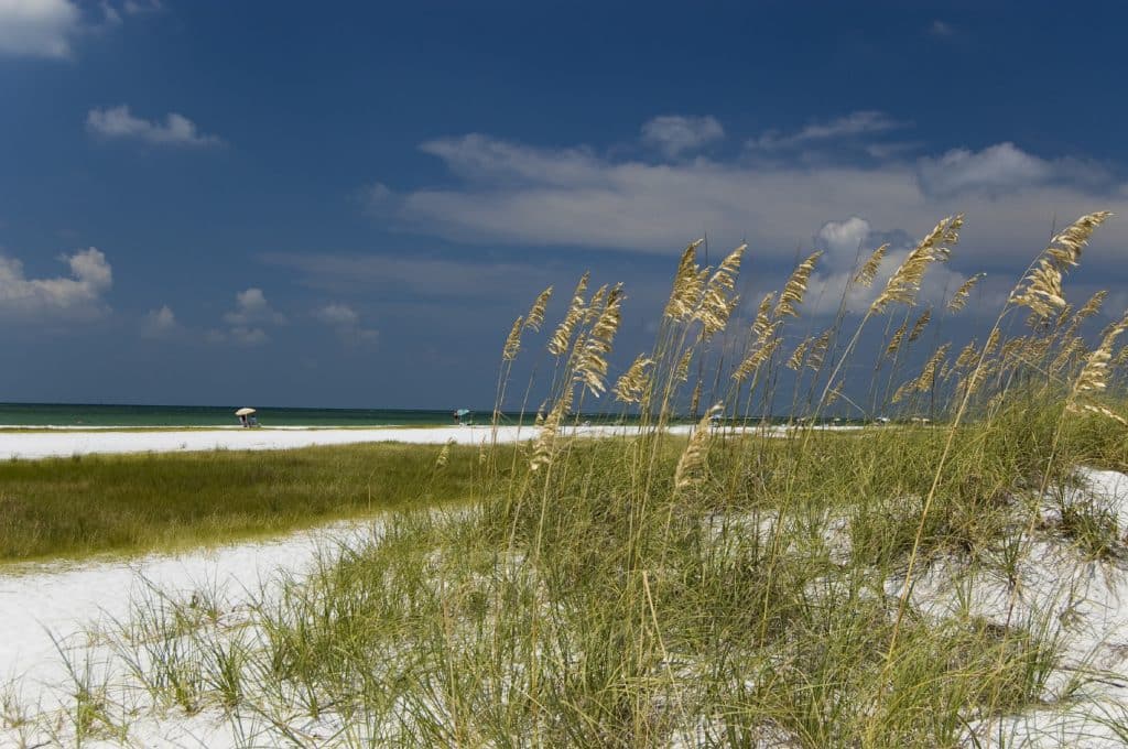Sarasota Beach