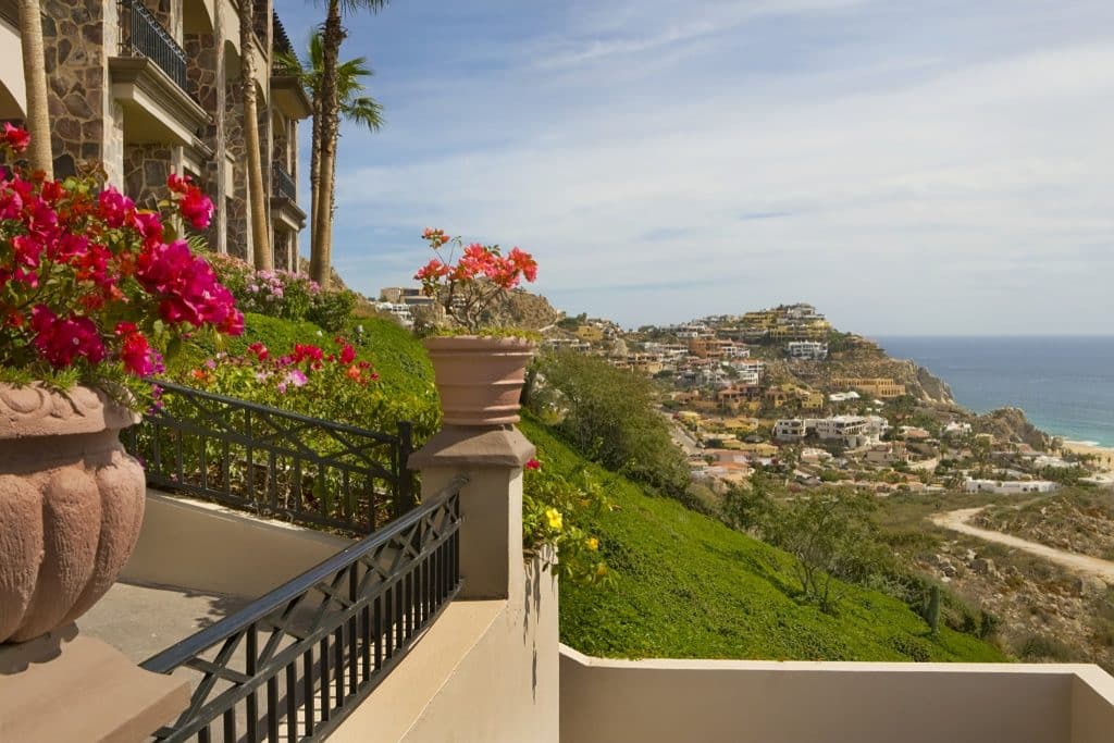 Cabo Flowers