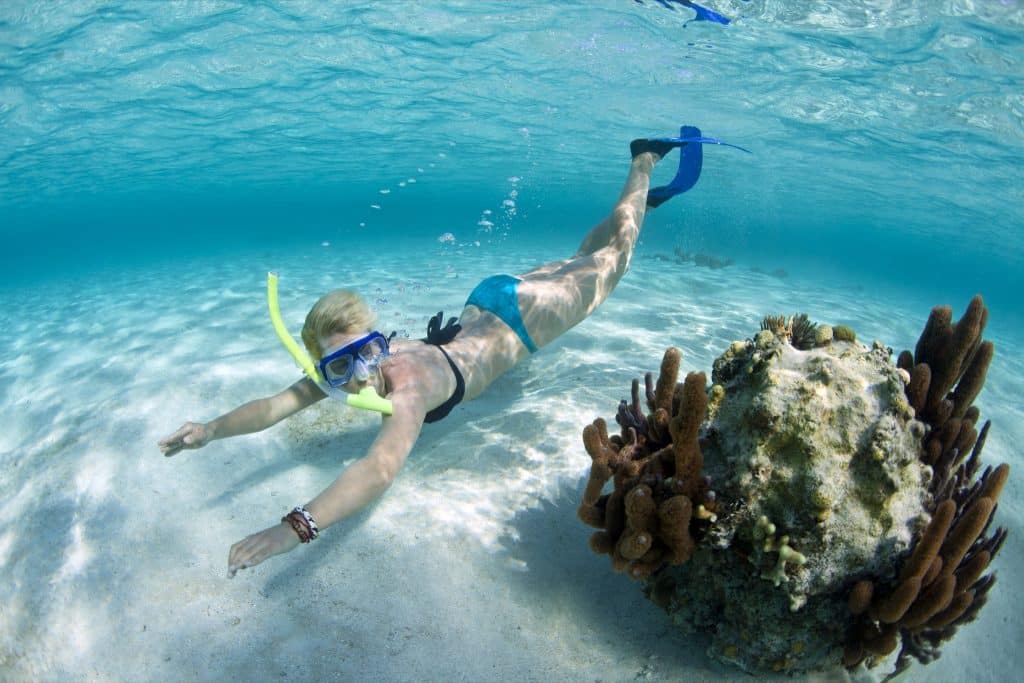Snorkel Belize