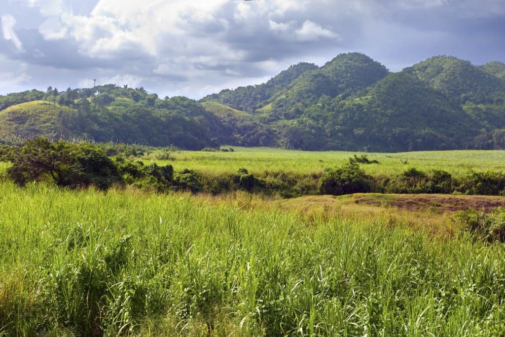 Jamaica Mountains