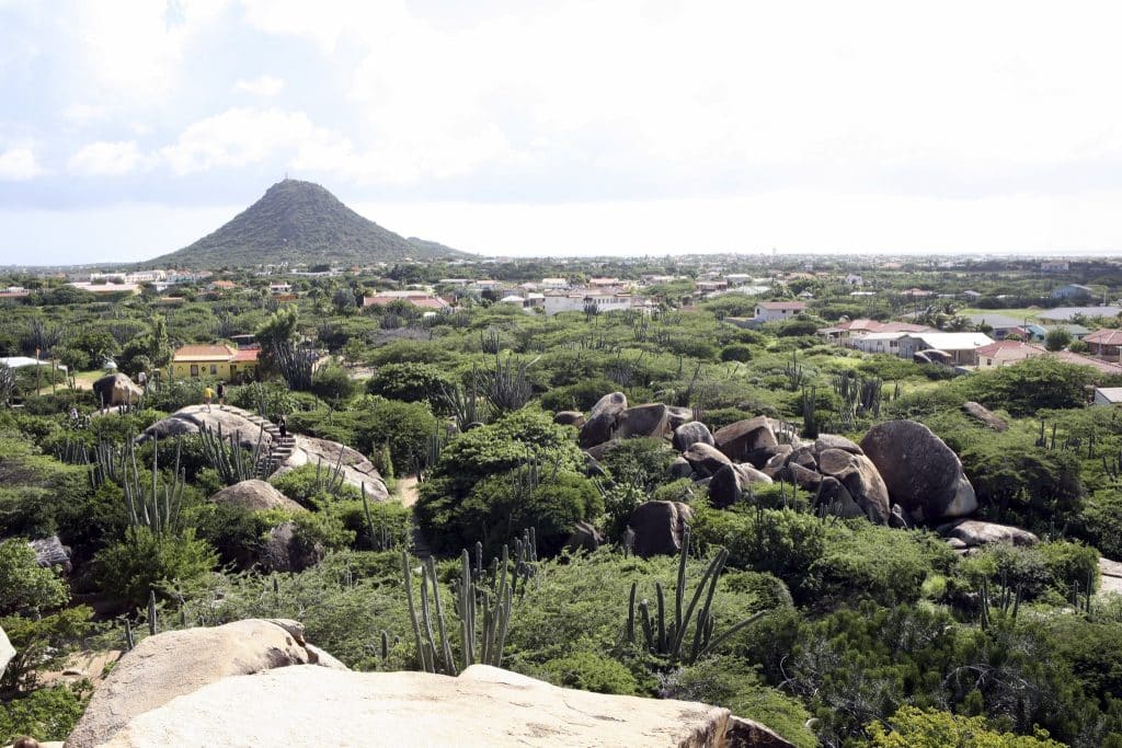 Aruba Desert
