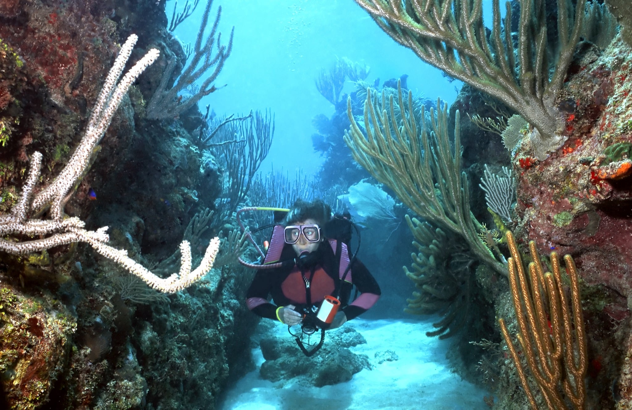 Honduras Scuba