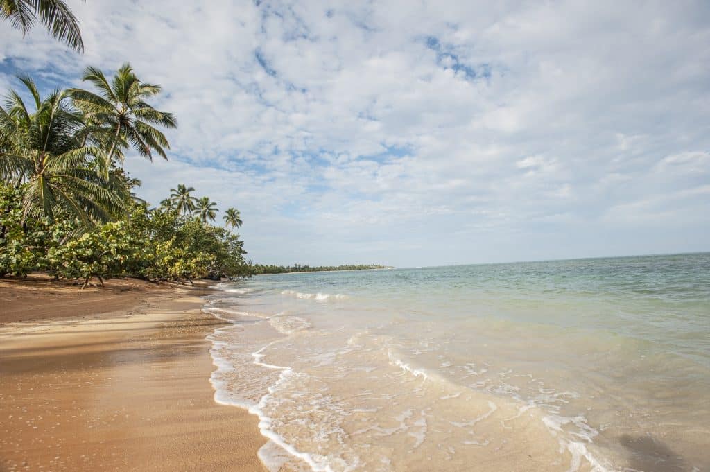 Las Terrenas