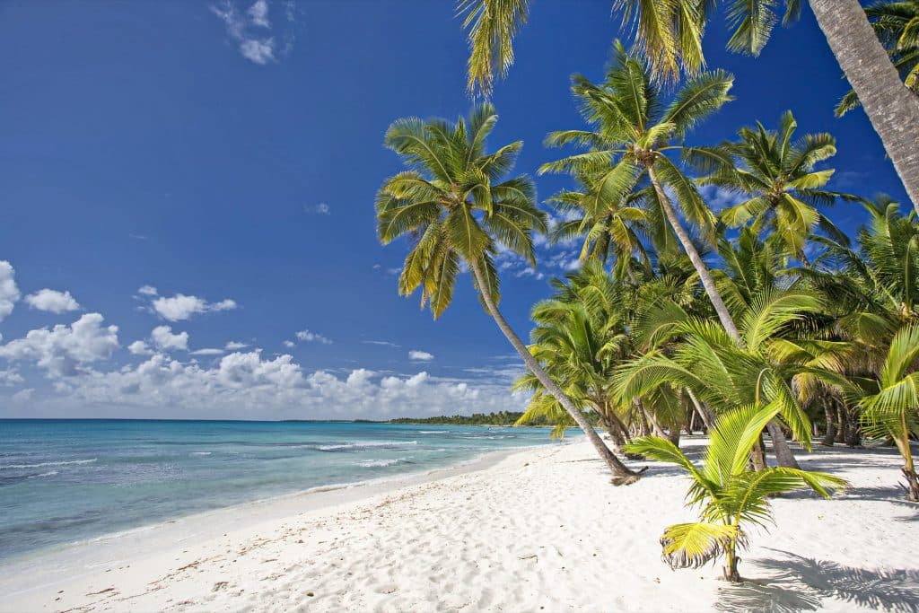 Saona