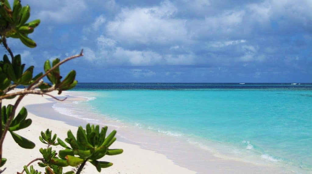 Upper Shoal Bay