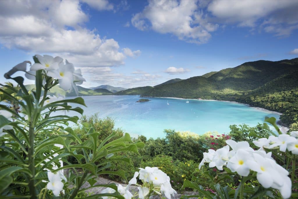 Cinnamon Bay