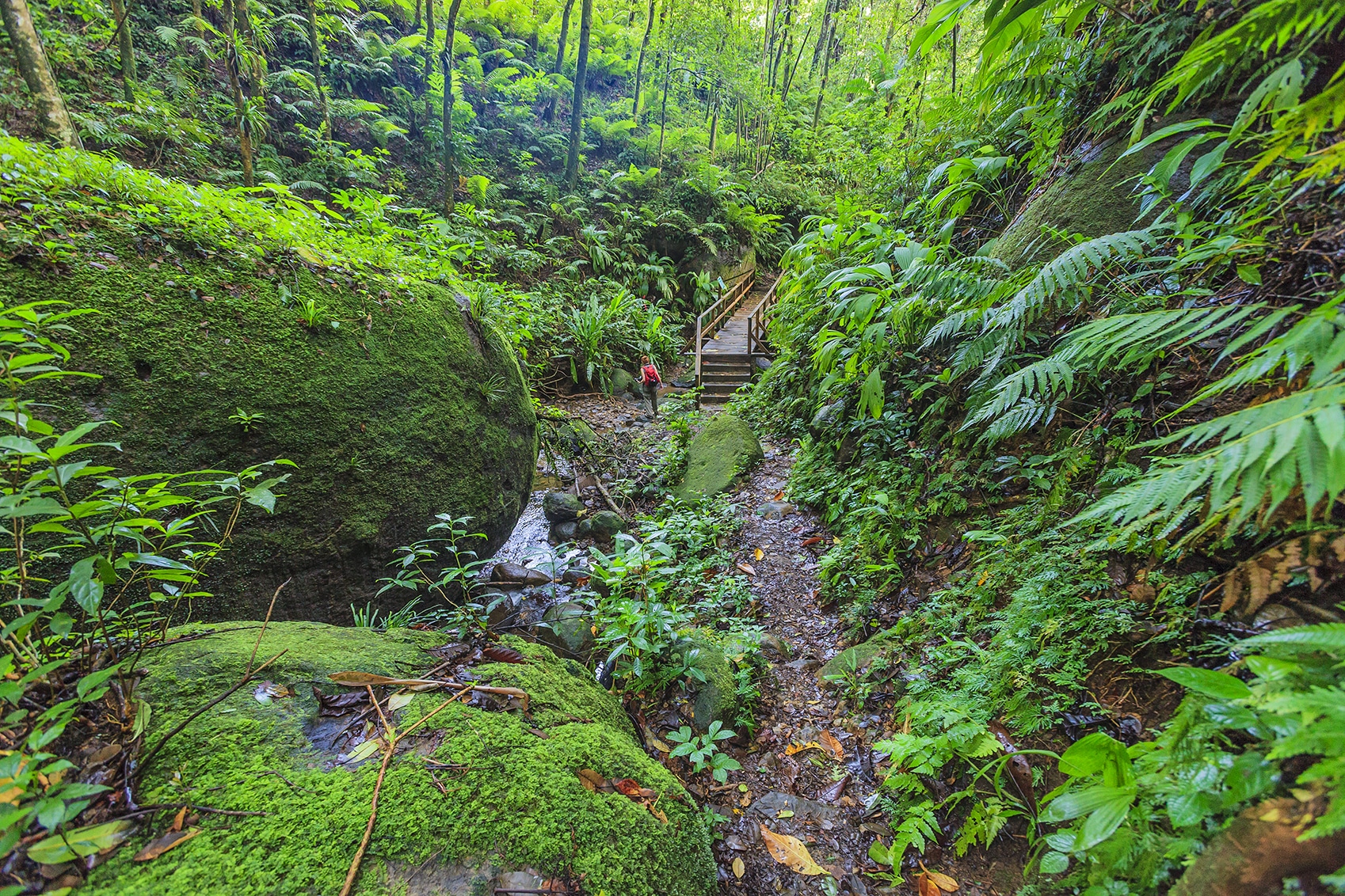 St. Vincent & the Grenadines