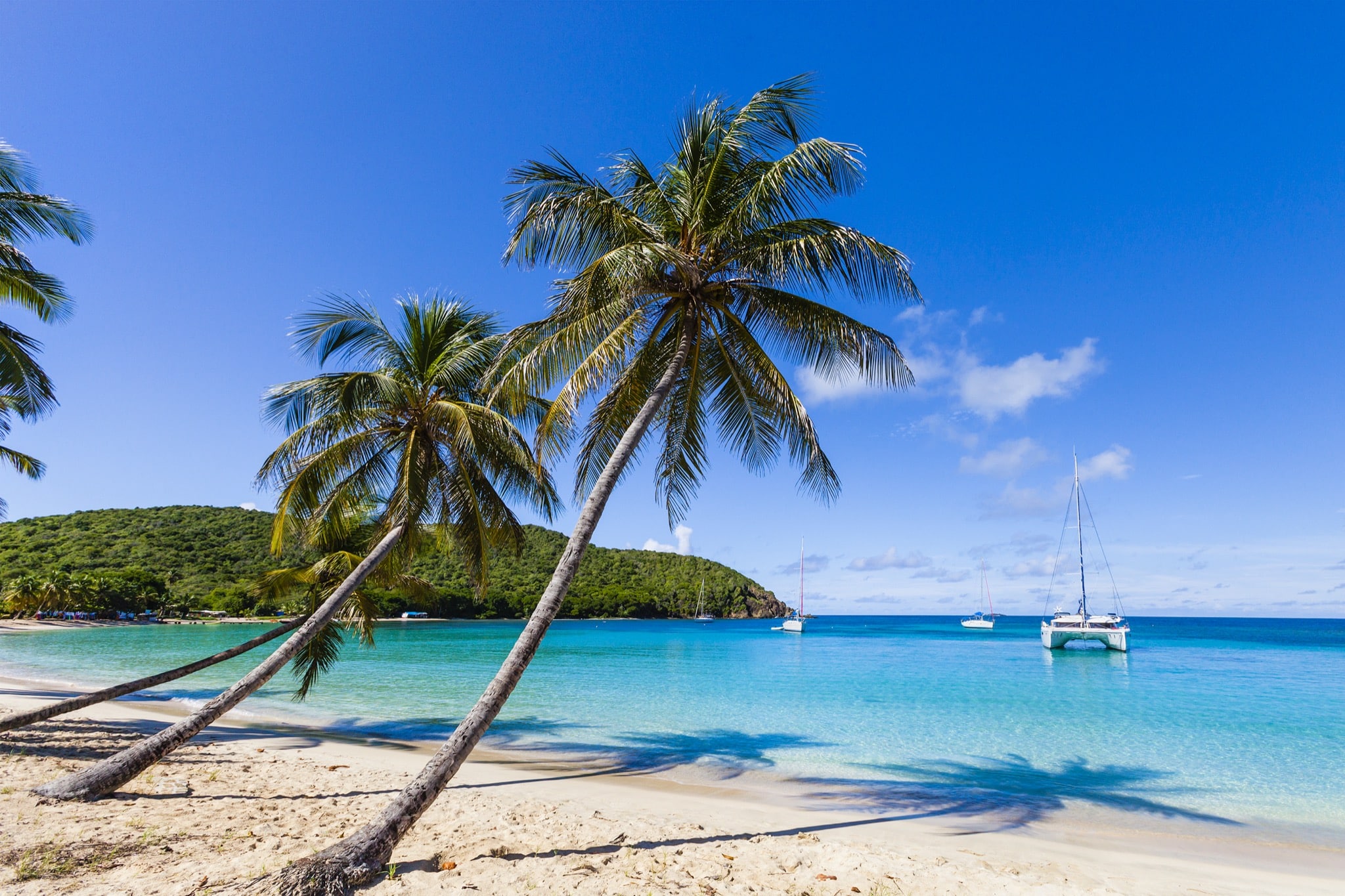 Caribbean