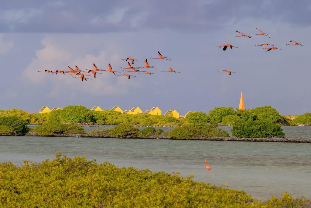 Bonaire
