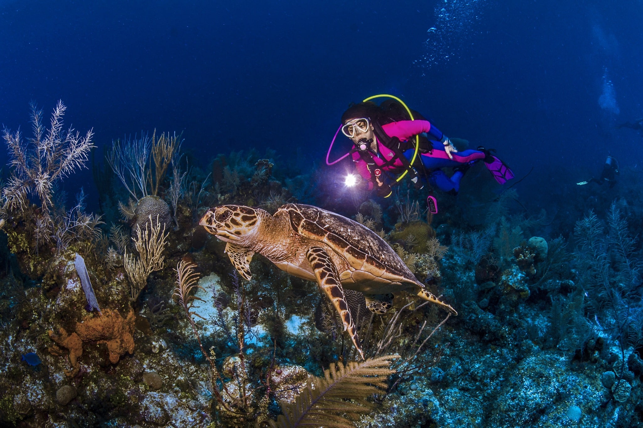 Cayman Islands