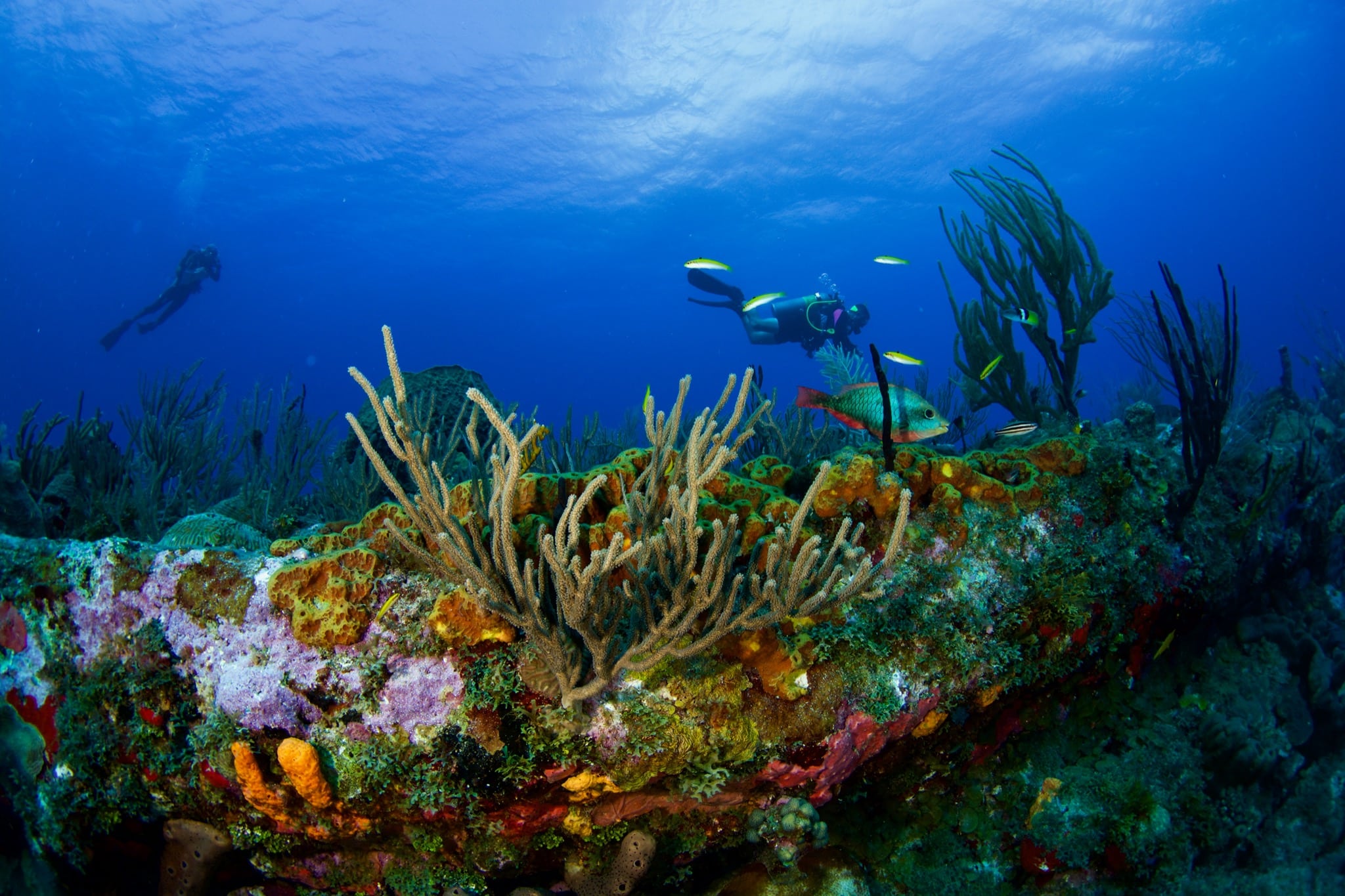 St. Eustatius